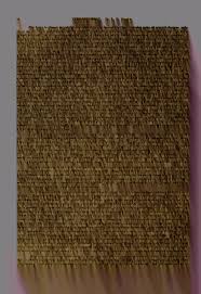 Attēlu rezultāti vaicājumam “Epirranthis diversata upperside”