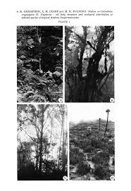 Attēlu rezultāti vaicājumam “Jungermannia sphaerocarpa sporophyte”