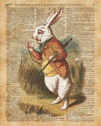 Image result for alice in wonderland rabbit
