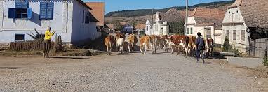 Image result for romania tehron