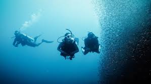 Image result for Deep and Wide Diving