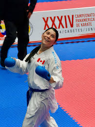 Image result for Guerrero Martial Arts