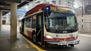 Image result for Speedwell Ttc