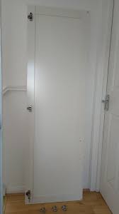 Image result for pax birkeland