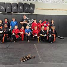 Image result for Action Karate