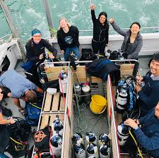 Image result for Dive Solutions, London