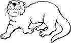 Otter coloring page