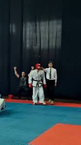 Image result for I T F Taekwondo (Andover)
