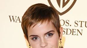 Image result for Emma Watson topless