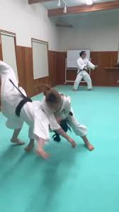 Image result for Harrow Shorinji Kempo