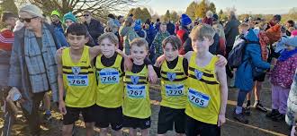 Image result for County Antrim Harriers