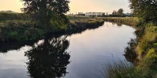 Image result for Reigate & District Angling Association