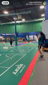 Image result for Lessa (Hq) Badminton Club