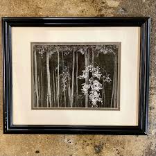 Image result for Ansel Adams Aspens New Mexico