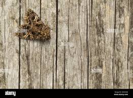 Attēlu rezultāti vaicājumam “Hadena rivularis”