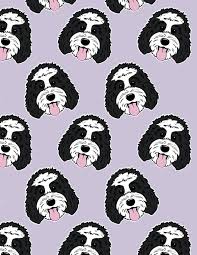 Image result for Lilac Chaser