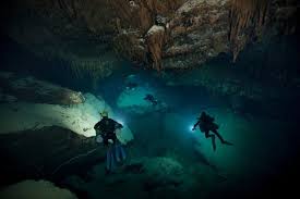 Image result for Deep Blue Diving