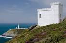 telescopes and live TV images of guillemots, razorbills and puffins on - via Daymix