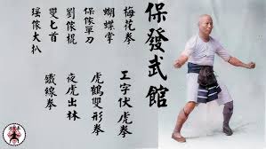 Image result for Hung Kuen School Of Shaolin Kung Fu