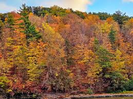 Image result for $$fall_akte__ort$$