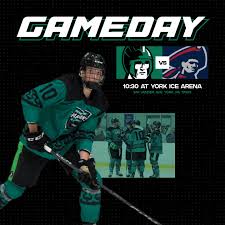 Image result for York University Street Hockey Club