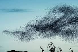 Image result for Alain Delorme