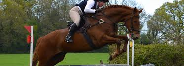 Image result for Huntingdon and District Riding Club
