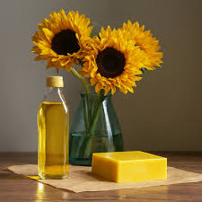 Attēlu rezultāti vaicājumam “Helianthus annuus fruit”