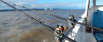 Image result for Byfleet Angling Association