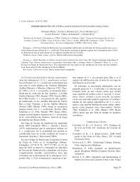 Image result for Sterna acuflavida