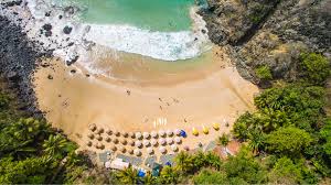 Image result for fernando de noronha