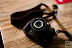 Attēlu rezultāti vaicājumam “Licea minima macro”