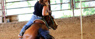 Image result for Lakes Riding Club