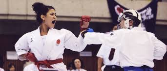 Image result for Charnwood Shoto Ryu Karate kai