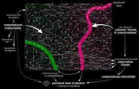 Image result for consciousness