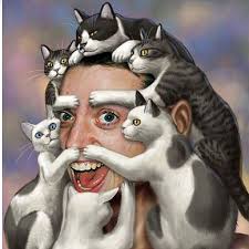 Image result for cat man