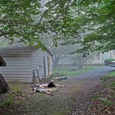 Image result for gregory crewdson