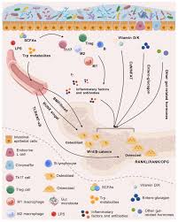Image result for %E1%83%99%E1...tart=40