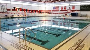 Image result for Lutterworth Swimming Club