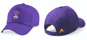 Image result for Saffron Walden Cricket Club