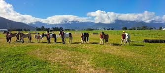 Image result for East Flegg Riding Club