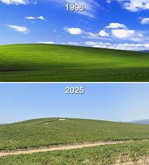 Image result for love windows xp wallpaper