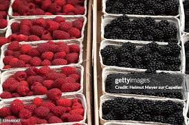 Image result for Rubus sectio