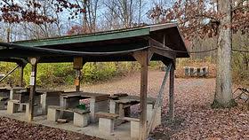 Image result for Homme Green Rifle Club