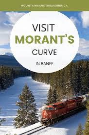 Résultat de recherche d'images pour "morant's curve"