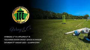 Image result for Ivybridge Cricket Club