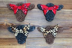 Image result for freshies