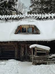 「イルミンガルド・スノーレヴィク」の画像検索結果