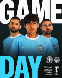 Image result for Melbourne United Football Club