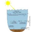 OceansBiologicalPump.jpg